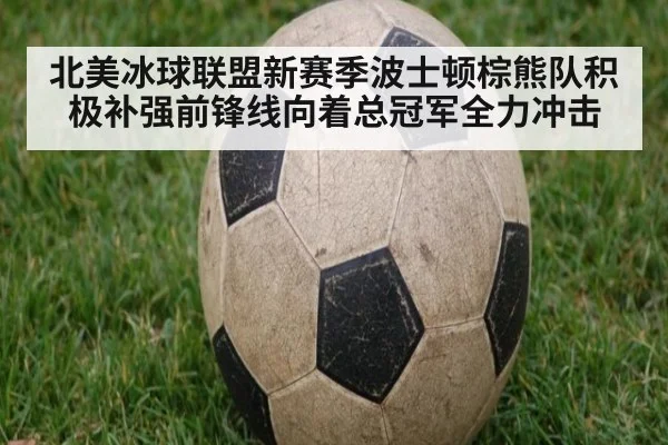 北美冰球联盟新赛季波士顿棕熊队积极补强前锋线向着总冠军全力冲击